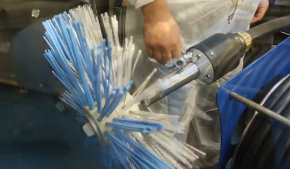 Extraction Cleaning Bay Cleaning